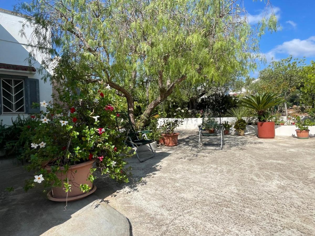 Villa Gioia Ostuni Ngoại thất bức ảnh