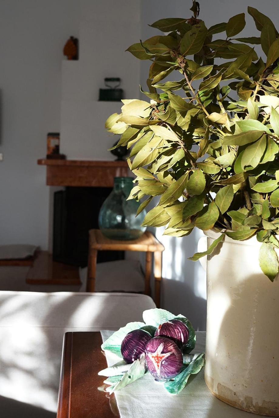 Villa Gioia Ostuni Ngoại thất bức ảnh